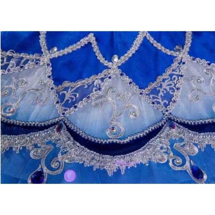 Pharaoh’s Daughter Ballet Tutu - Image 5